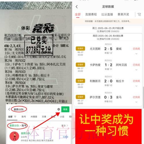 世界杯竞猜投注:如何在风险与收益之间寻求最优平衡 世界杯竞猜投注:如何在风险与收益之间寻求最优平衡